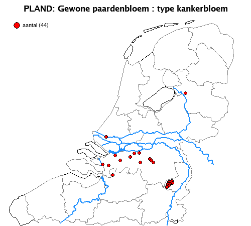 kankerbloem